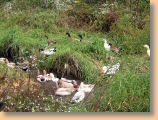 DSCN29631.jpg