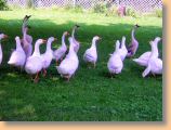 DSCN36721.jpg