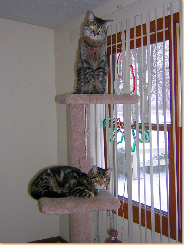 DSCN21701.jpg