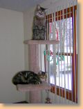 DSCN21701.jpg