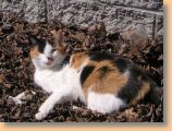 DSCN31321.jpg