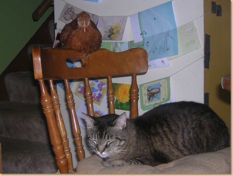 DSCN31721.jpg