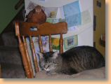 DSCN31721.jpg