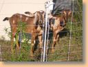 DSCN3251.jpg