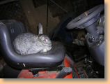 DSCN30981.jpg