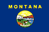 MT Flag